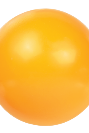Egg Yolk